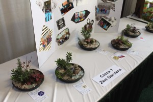 Some of Harrisburg YWCA Junior Gardeners' table-top Zen gardens.