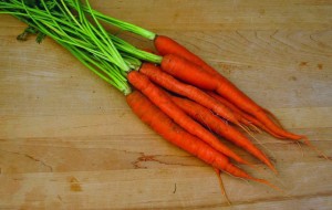 Carrot "Sugarsnax' Pinetree Garden Seeds