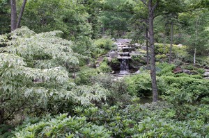 The Giles Rhododendron Garden was CMBG's first garden.