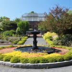 Yankee (and Red Suspenders) Garden Wisdom