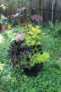 This flower pot adds a spot of color to a groundcover bed.