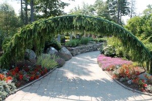 The "larch arch" leads visitors into the Lerner Garden.