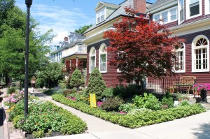 One of the many Buffalo homes with flowers that go from wall to curb.