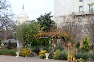 A section of Bartholdi Park in December.