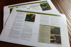 The "galley" or proof-reading version of "Pennsylvania Month-by-Month Gardening."