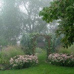 10 Tips for Four-Season Gardens