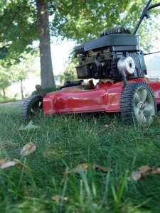 Cut your grass on a high setting. It's the evenness that makes it look nice, not the scalping.