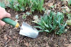 A sturdy trowel is the best tool for small digging and planting jobs.