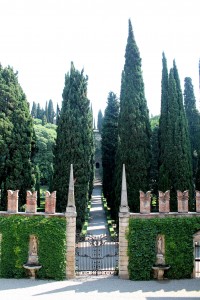 Tall Italian cypresses line the main axis at the back of Giardino Giusti.