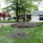 The Verdict of Another Rough Winter