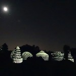 Garden Meets Digital at Nightscape