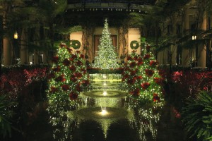 This is what the conservatory's ballroom floor looks like this year.