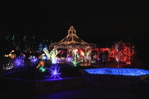Brookside Gardens' Garden of Lights.