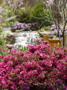 Part of Black Landscaping's 2006 Expo display... back in the good ol' days.