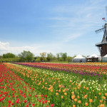 Gawk at the Gardens of Michigan