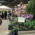 One Less Garden Show