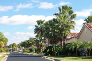 Here's the palm-lined street leading to Erin's Florida villa.
