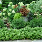 Containers for IN the Garden
