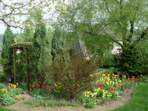 It's easy to hit a gap in early-season bloom unless you pay attention to what happens after the first bulbs bloom.